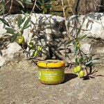 tapenade-verte-aux-olives-de-pays-210gr-photo-principale-2