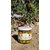 olives-vertes-cassées-vdb-photo-principale-1
