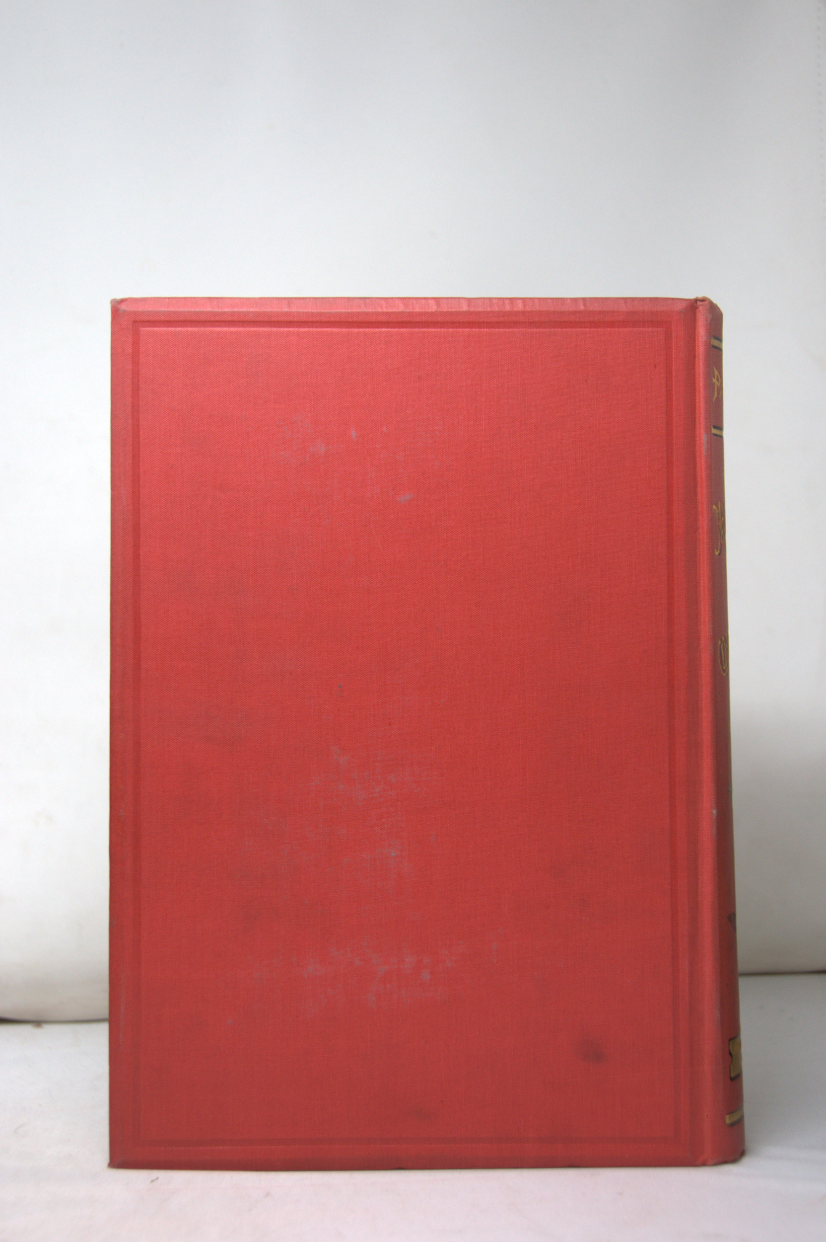 _DSC0013.NEF