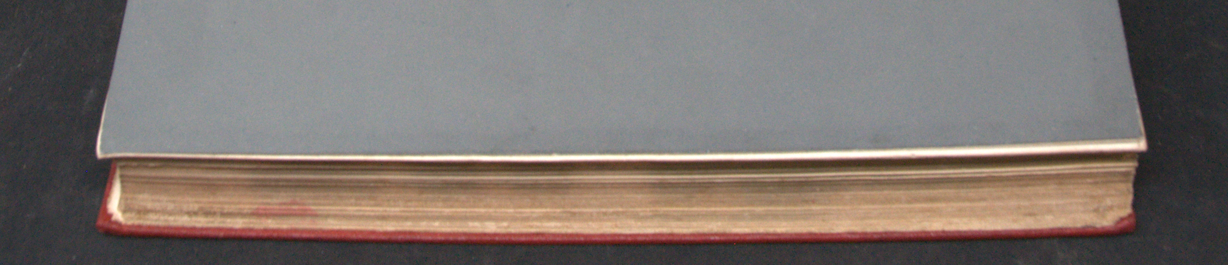_DSC0037.NEF