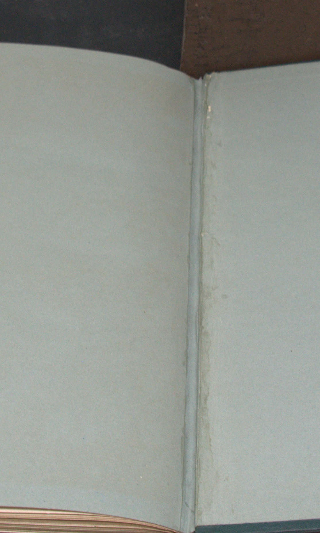 _DSC0035.NEF