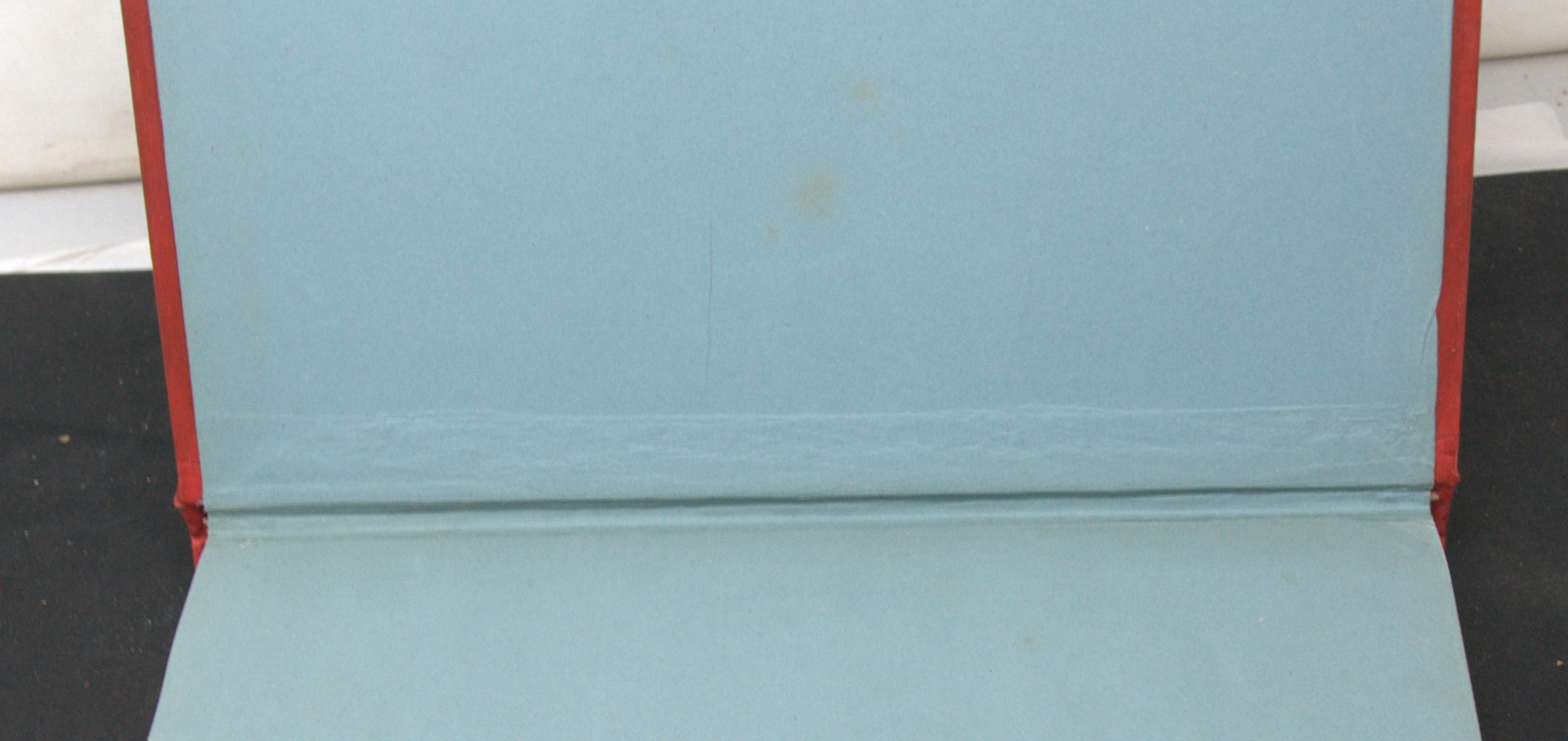 _DSC0086.NEF