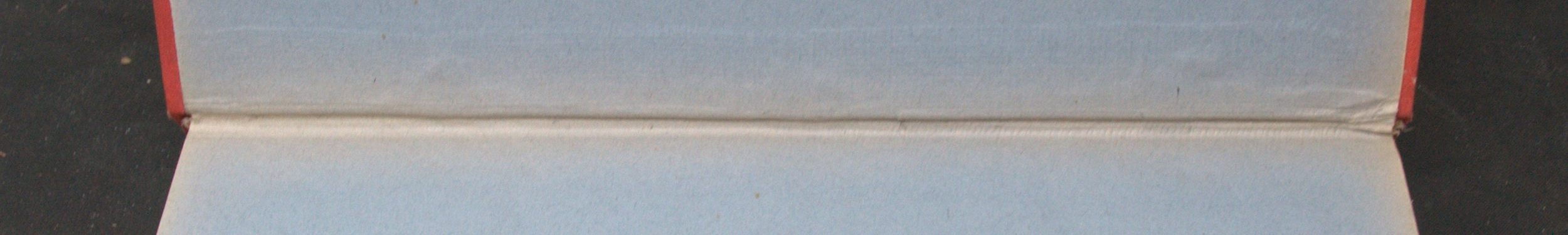 _DSC0049.NEF