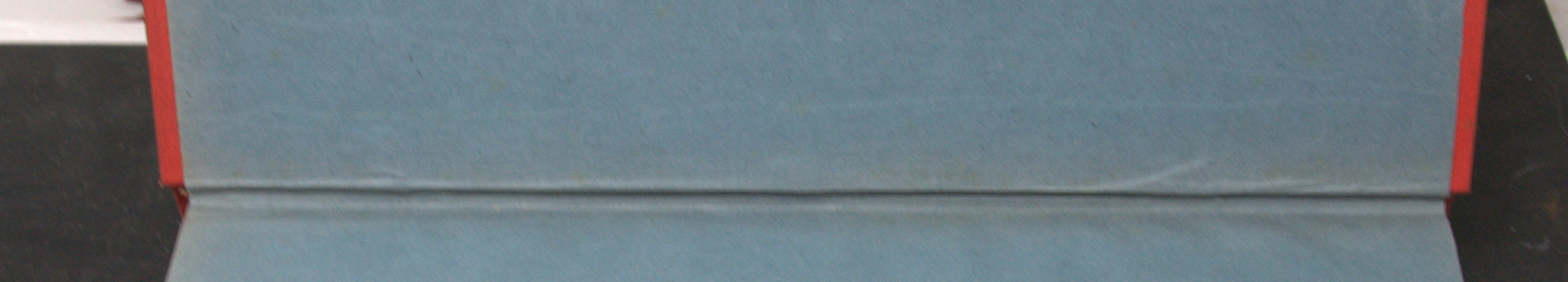 _DSC0016.NEF