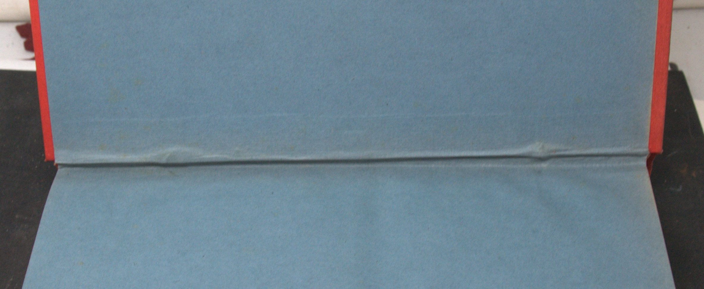 _DSC0011.NEF