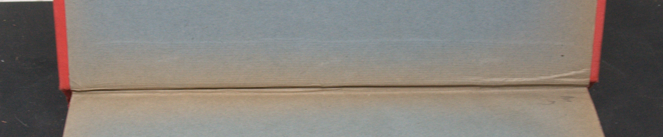 _DSC0026.NEF