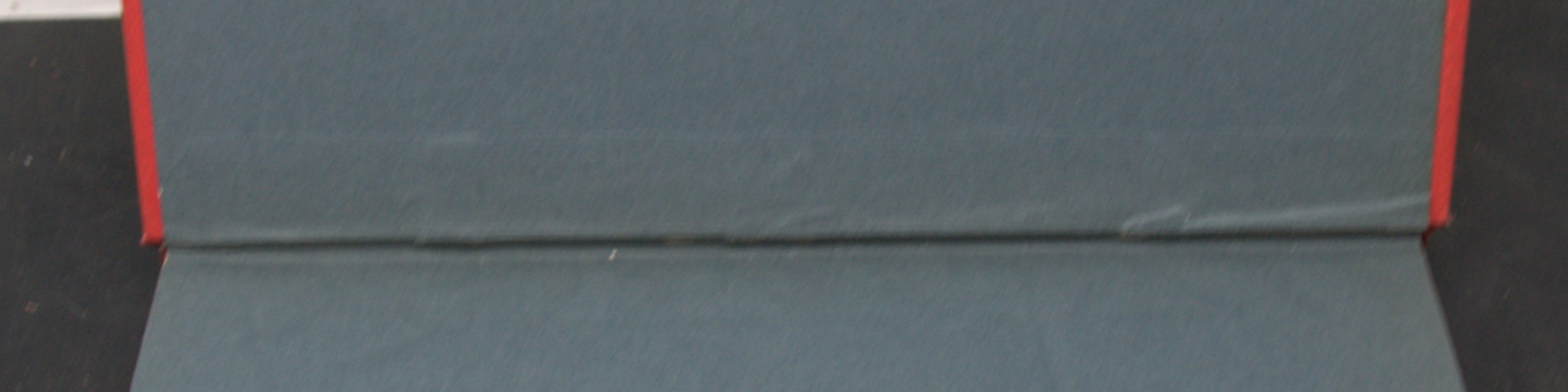 _DSC0011.NEF