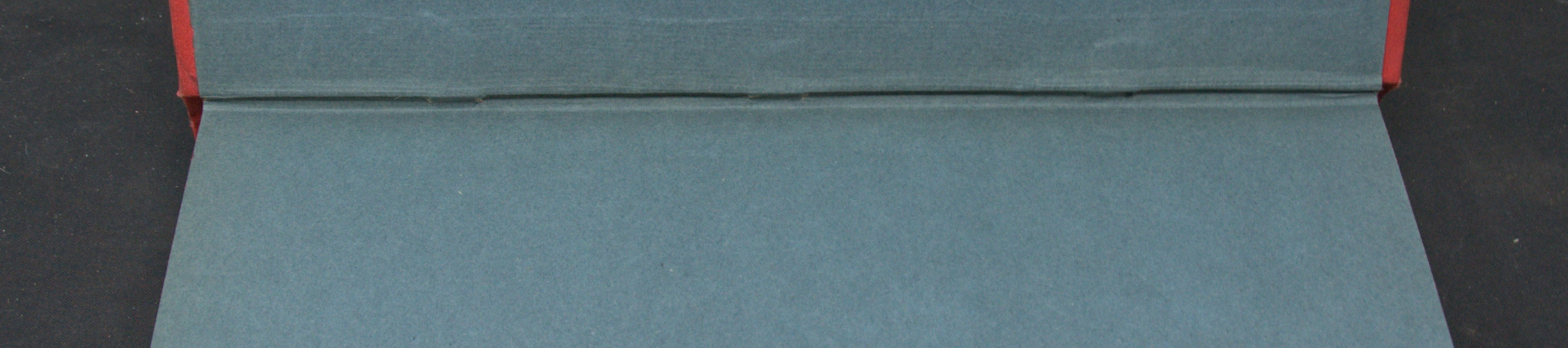 _DSC0015.NEF