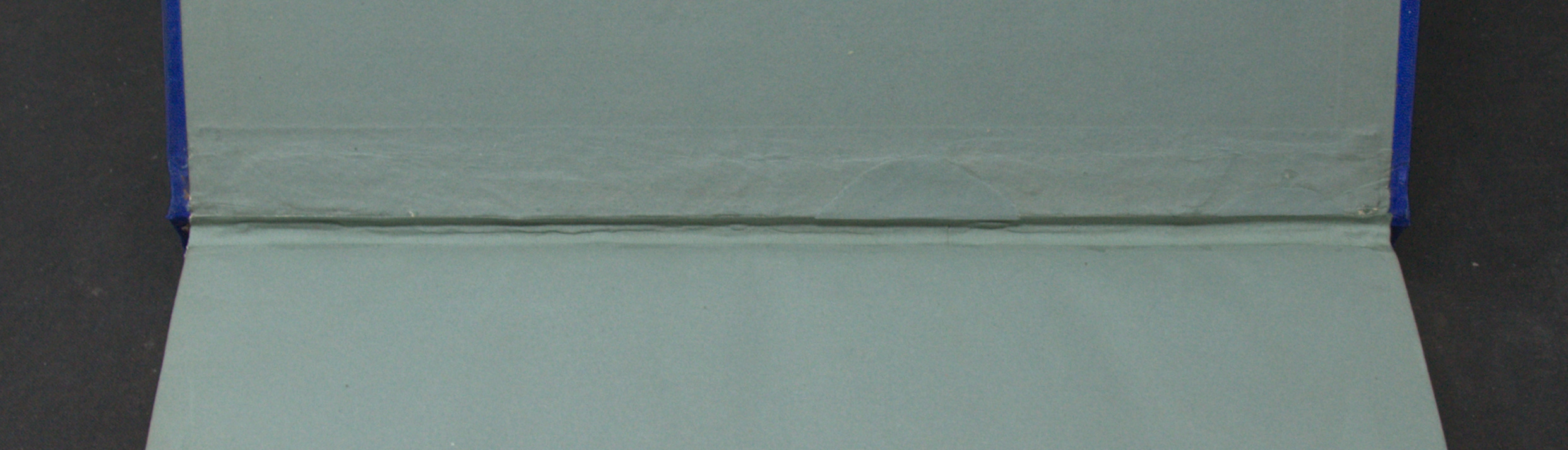 _DSC0018.NEF