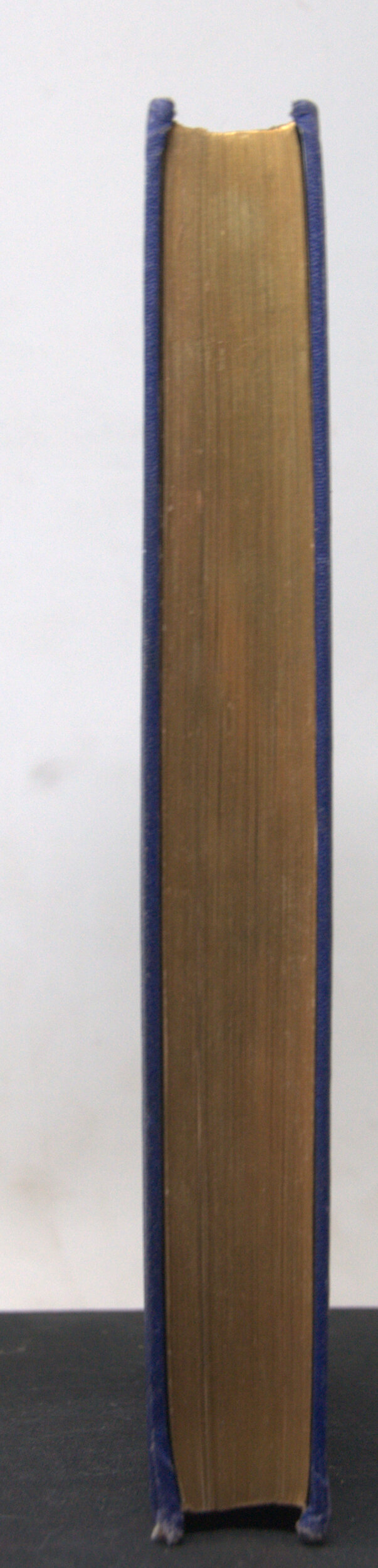 _DSC0004.NEF