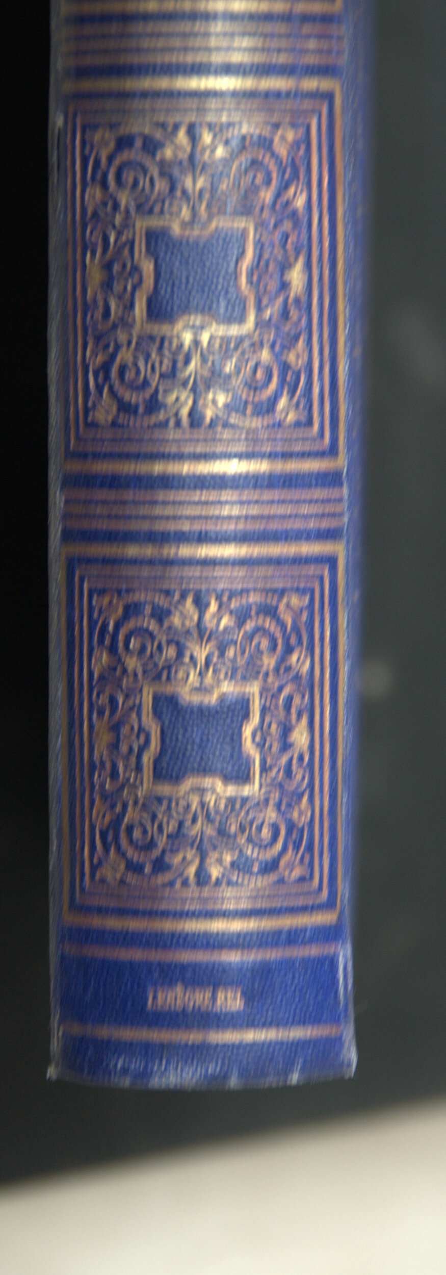 _DSC0006.NEF
