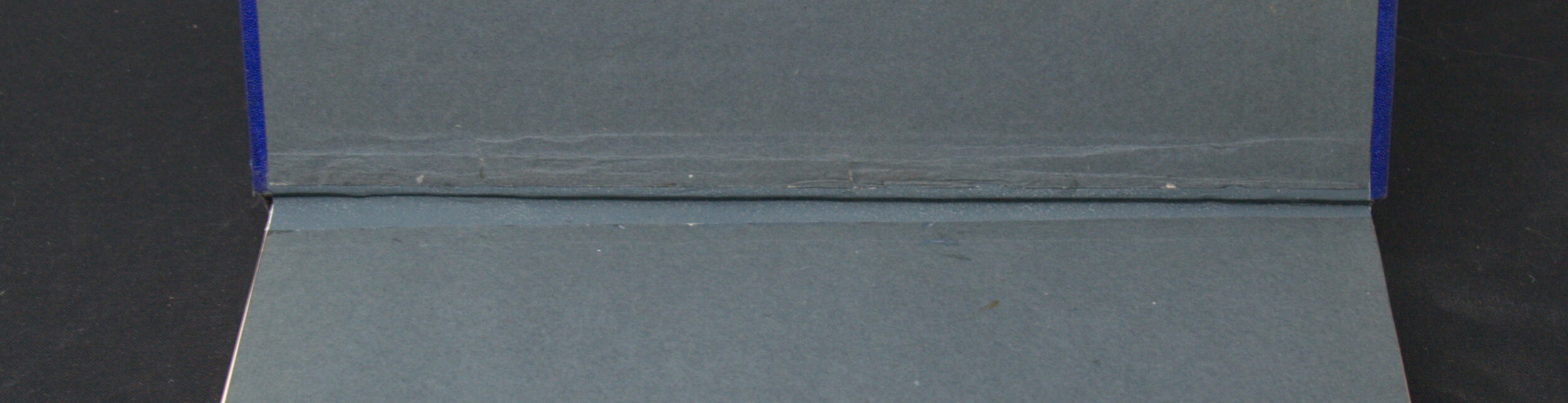 _DSC0011.NEF