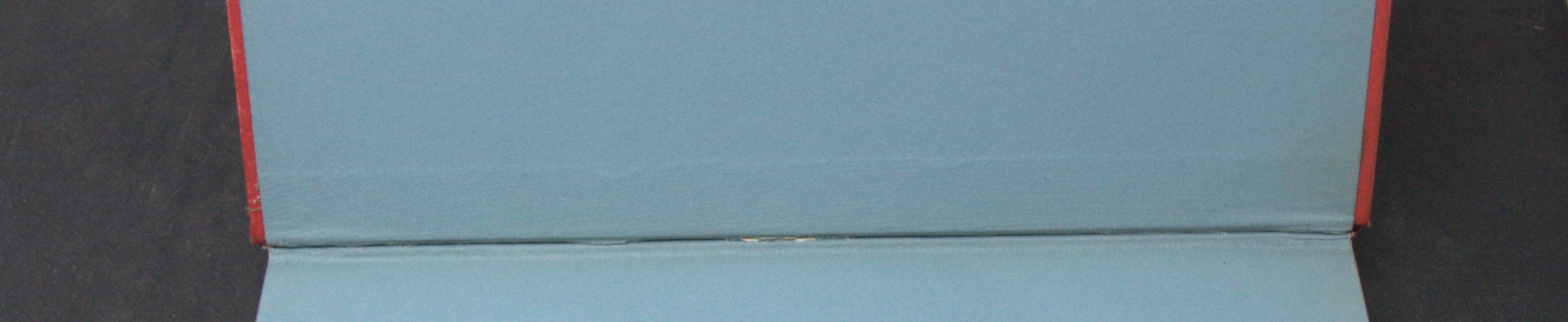 _DSC0029.NEF