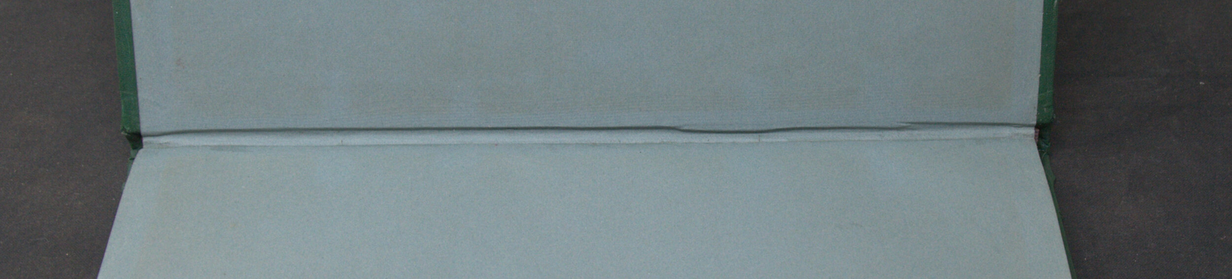 _DSC0013.NEF