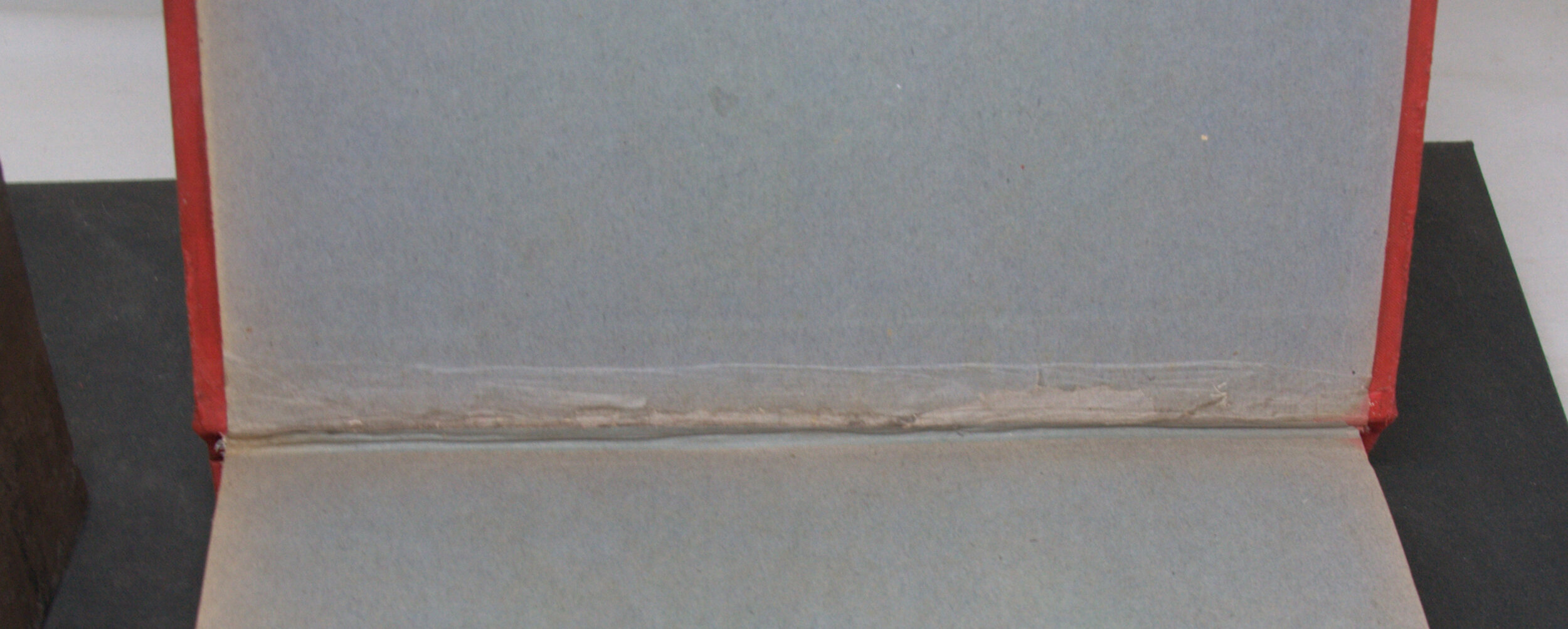 _DSC0016.NEF