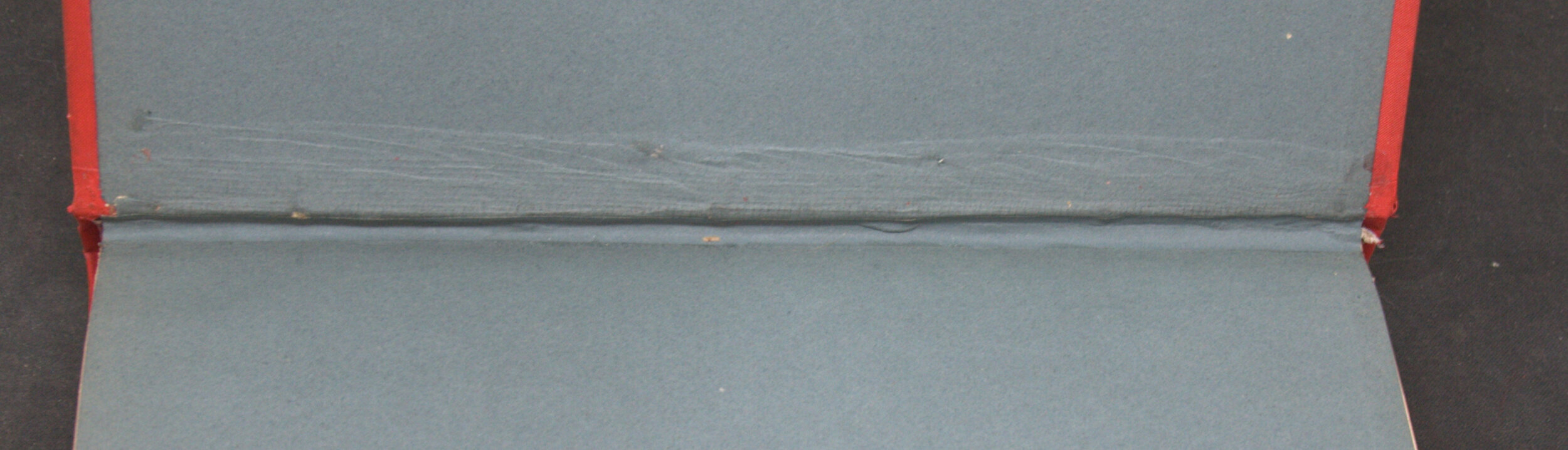 _DSC0033.NEF