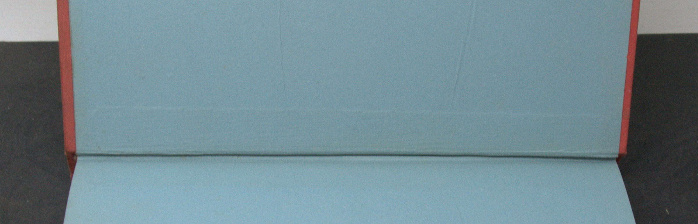 _DSC0021.NEF