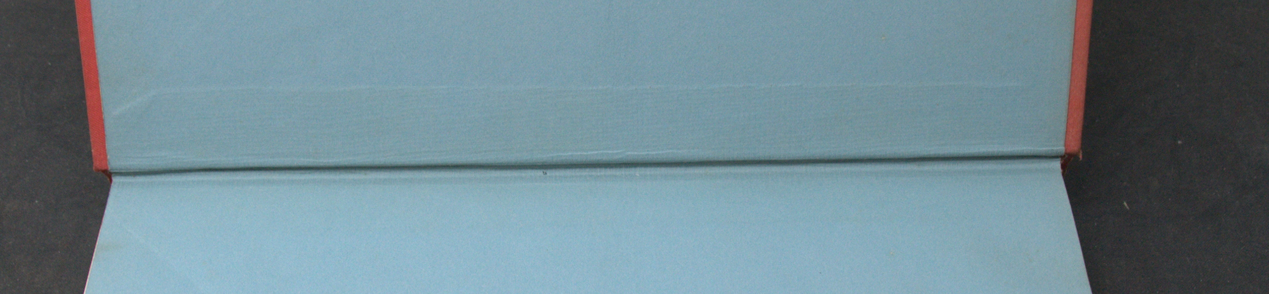 _DSC0013.NEF