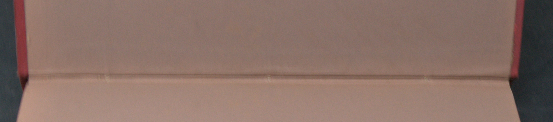 _DSC0036.NEF