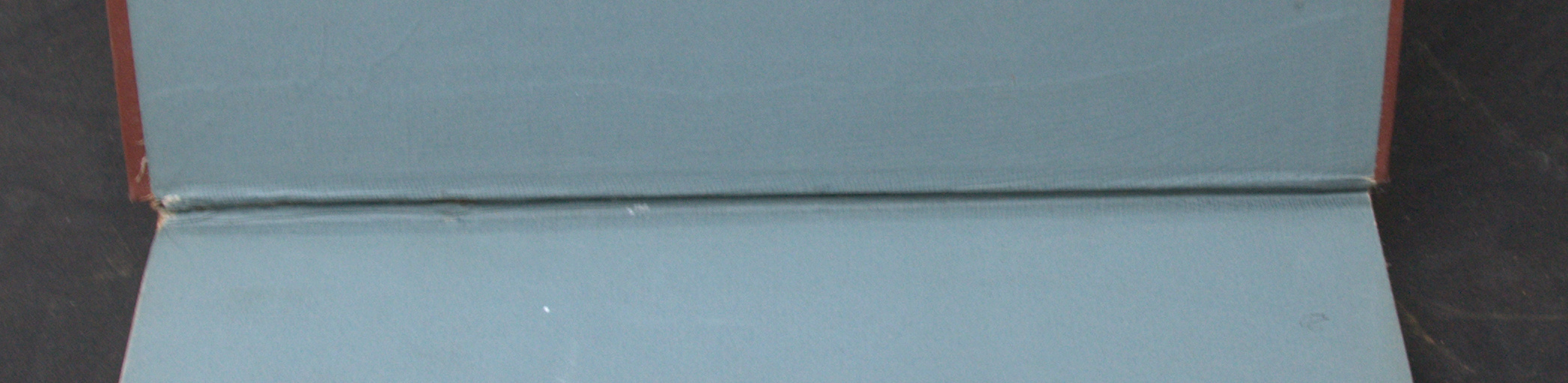 _DSC0010.NEF