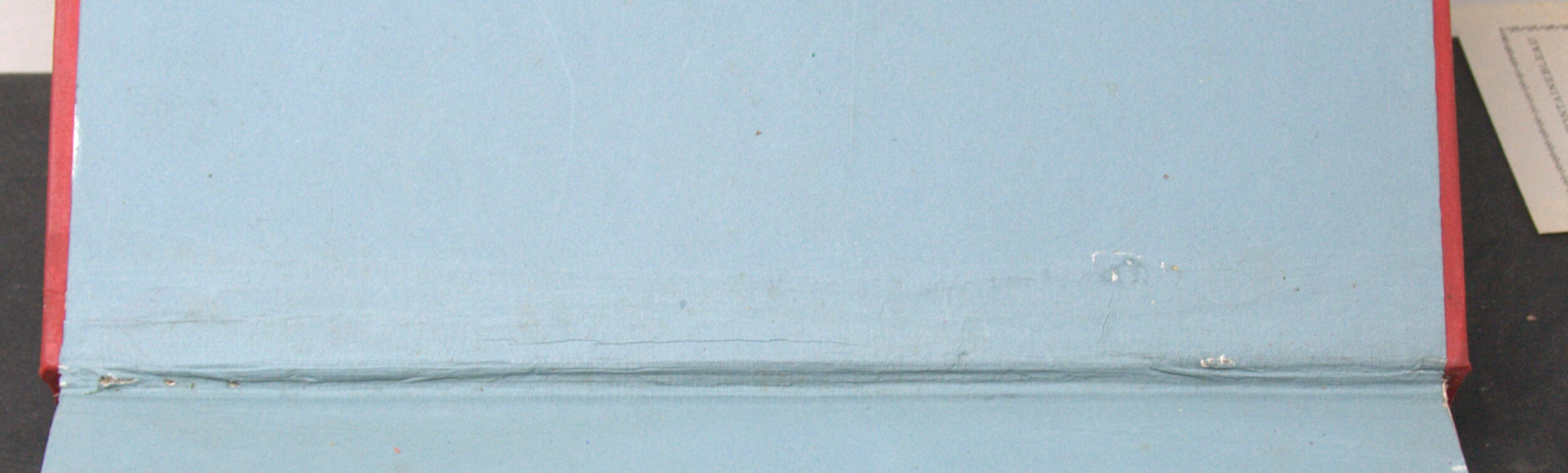 _DSC0010.NEF