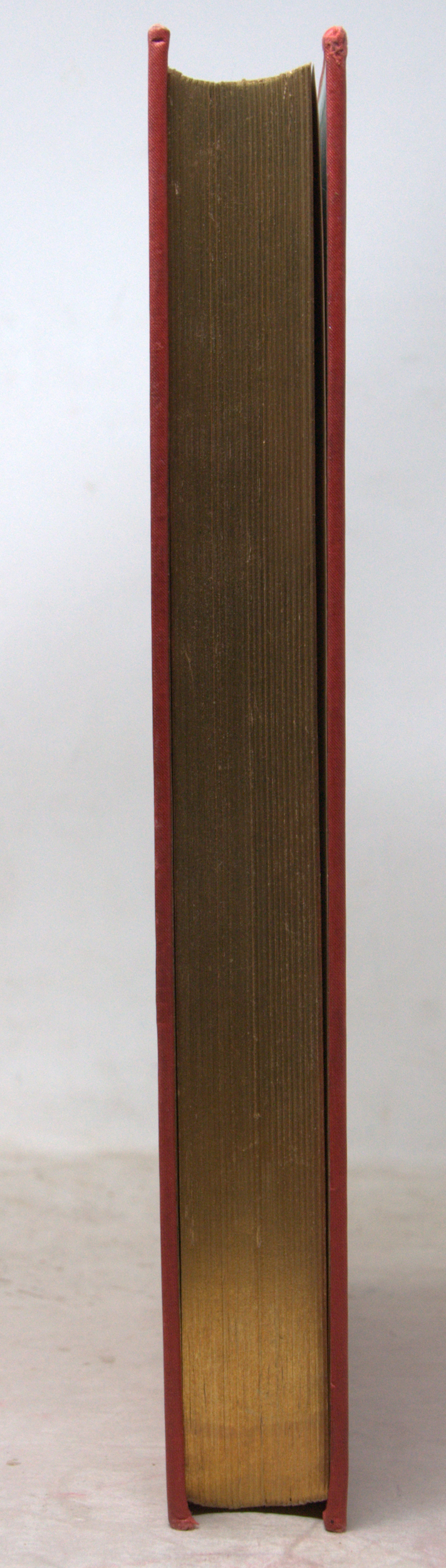_DSC0013.NEF