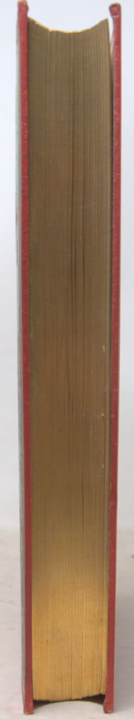_DSC0025.NEF
