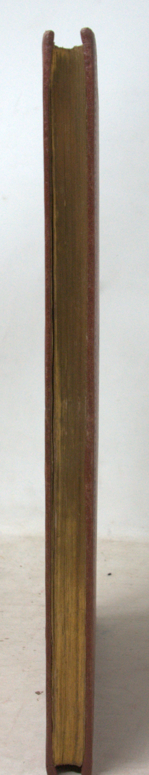 _DSC0007.NEF