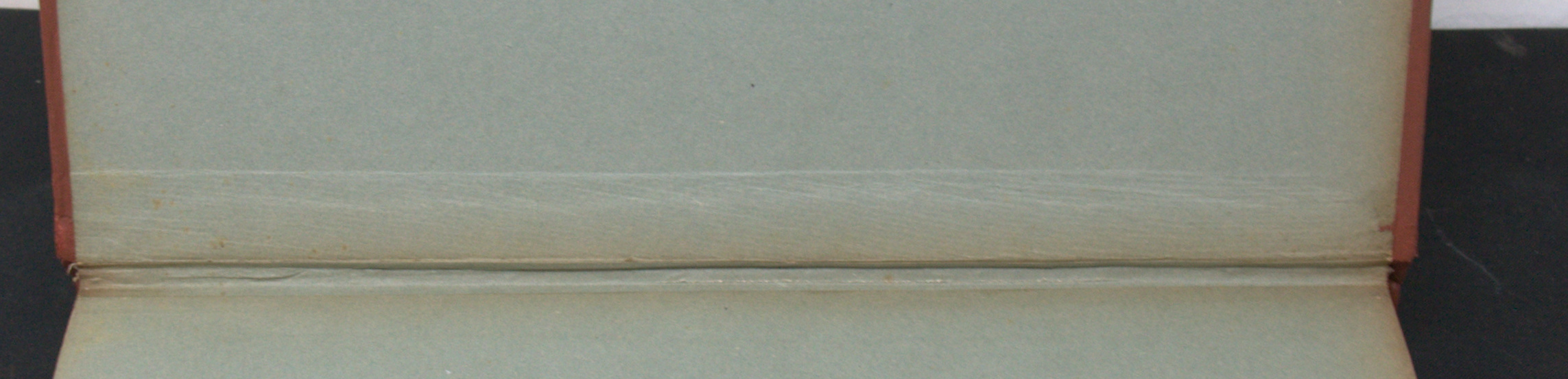 _DSC0041.NEF