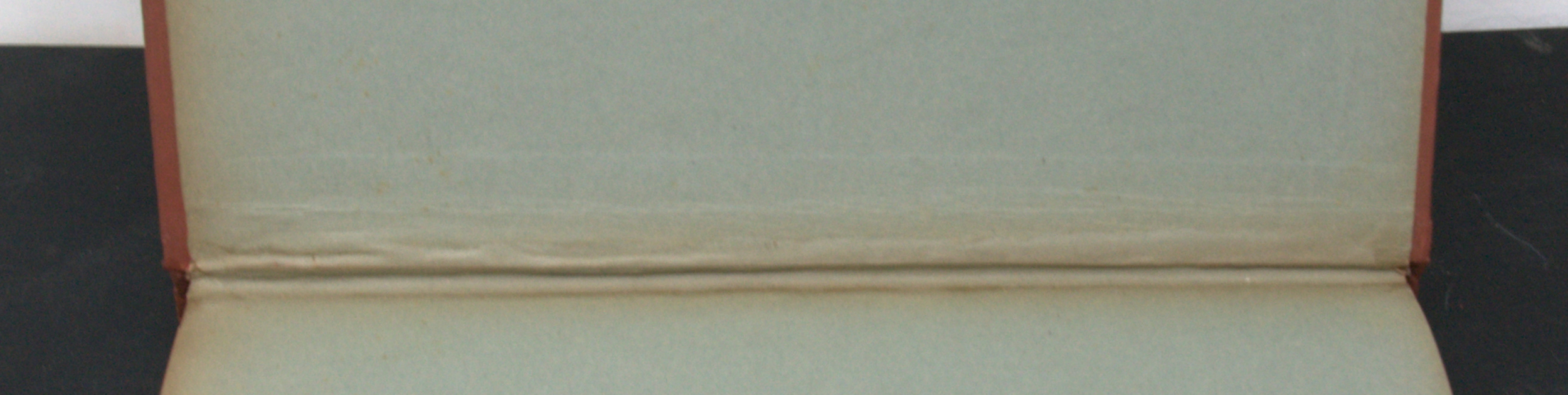 _DSC0047.NEF