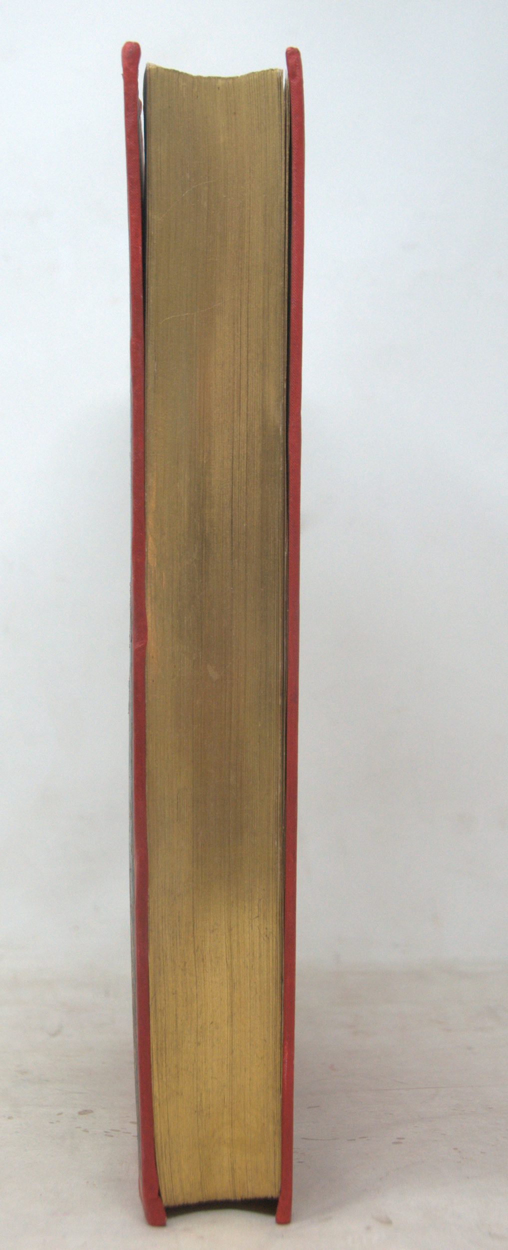 _DSC0005.NEF