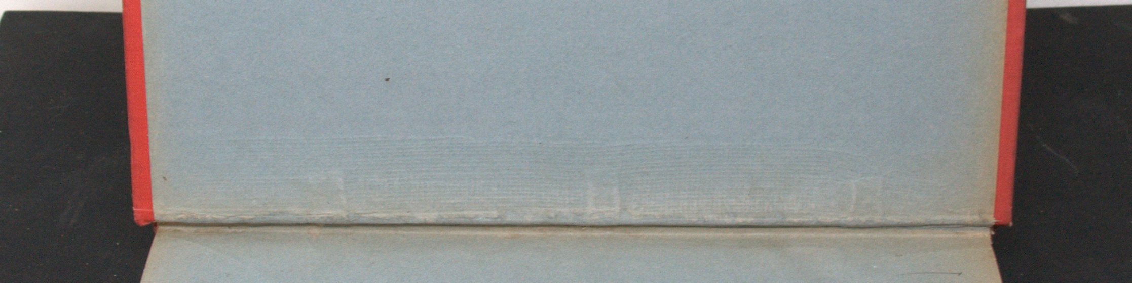 _DSC0011.NEF