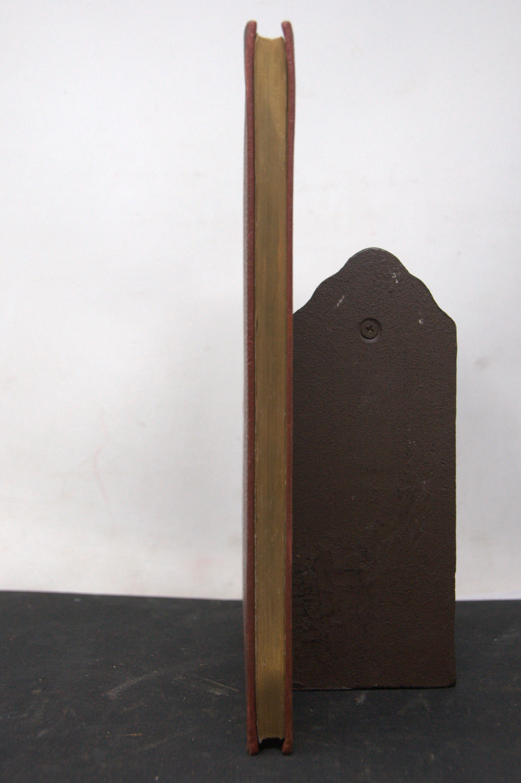 _DSC0019.NEF