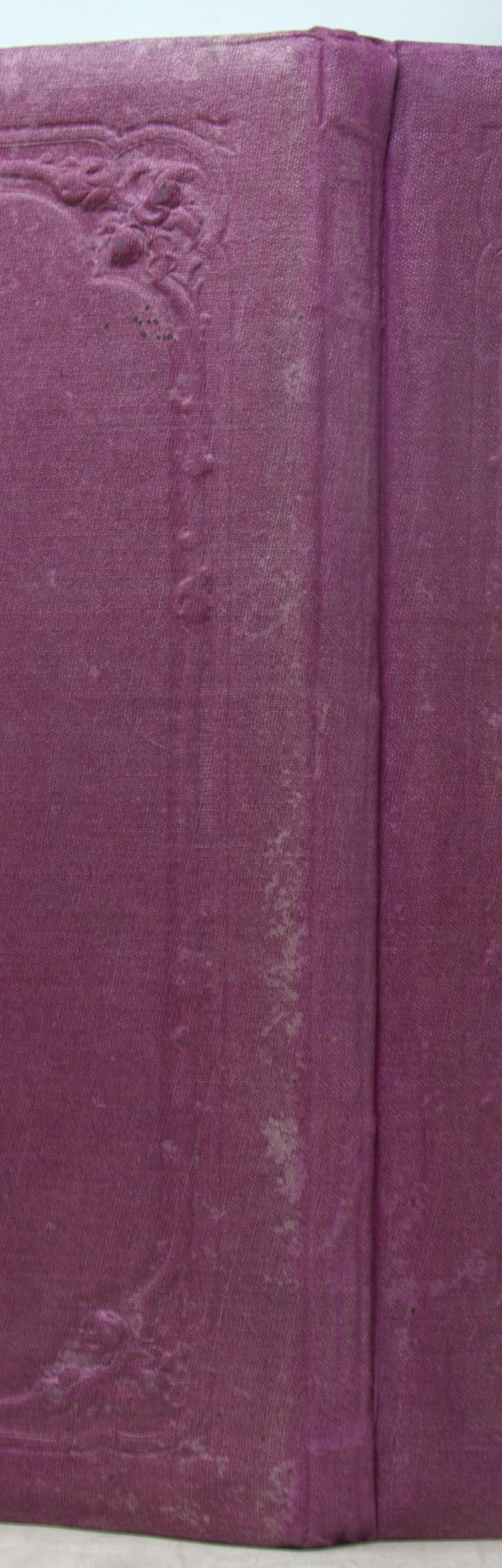 _DSC0017.NEF