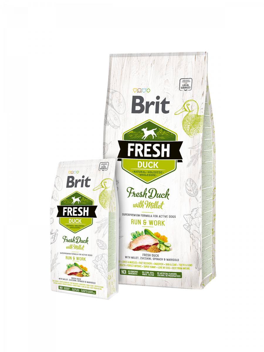 Brit_Fresh_duck_Run_Work