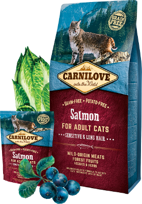 croquettes chat carnilove saumon