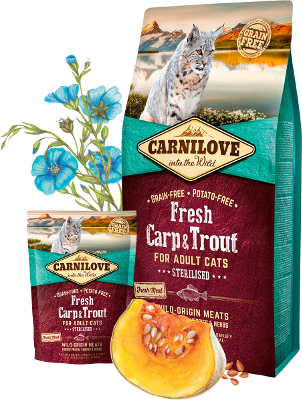 croquette chat carnilove fresh carp trout