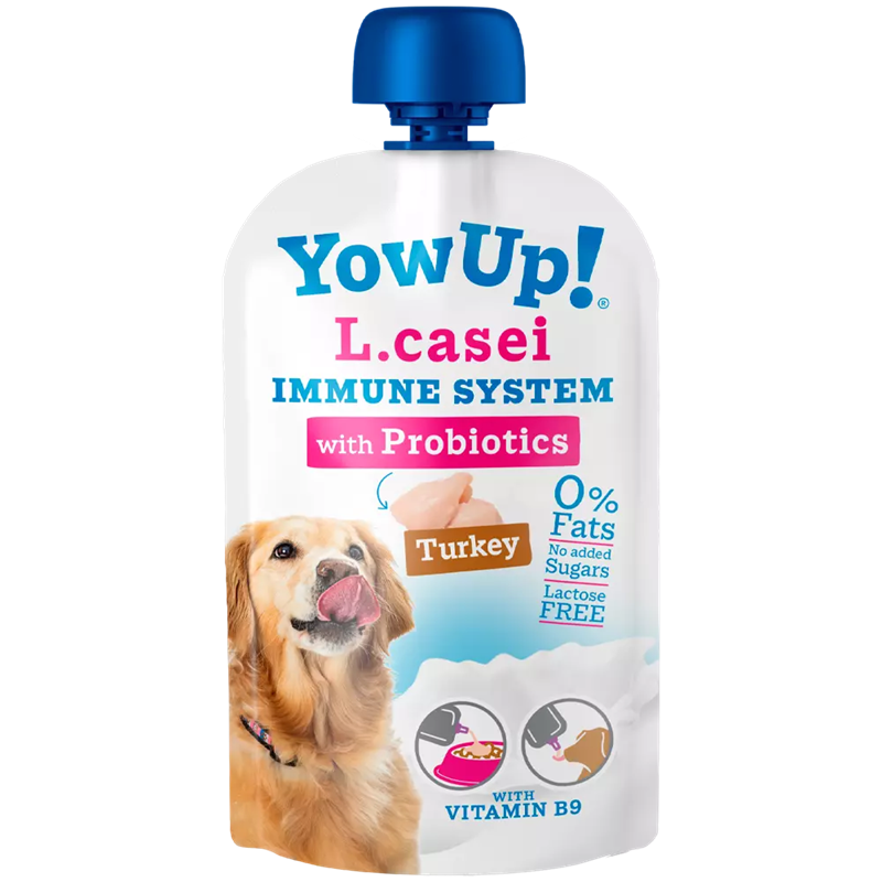 yow up l casei