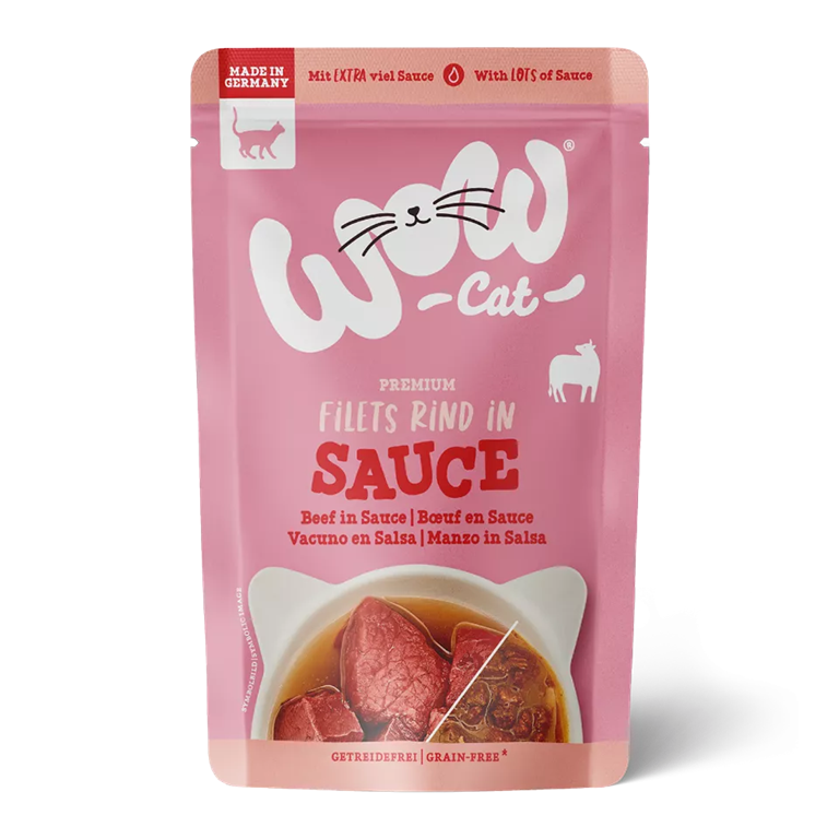 wow cat boeuf en sauce