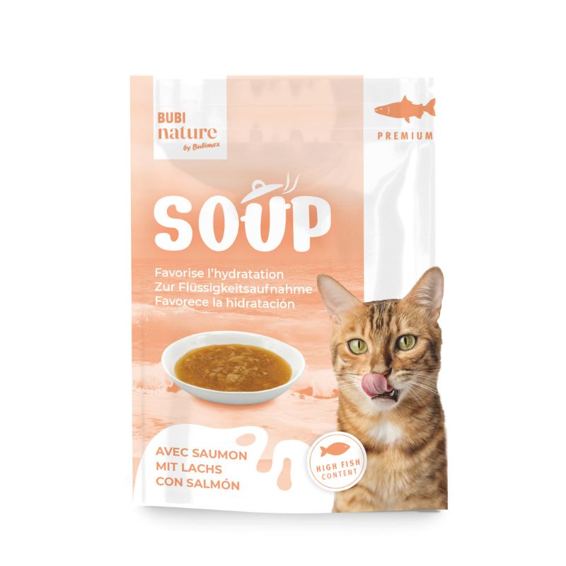 bubinature soupe saumon