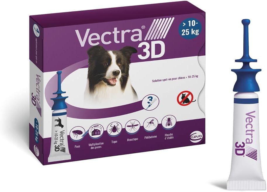 vectra 3d chien moyen
