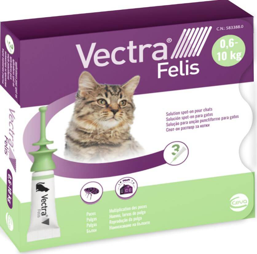vectra felis 3 pipettes chat