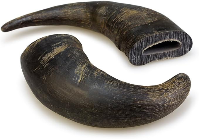 corne de buffle XL 20cm