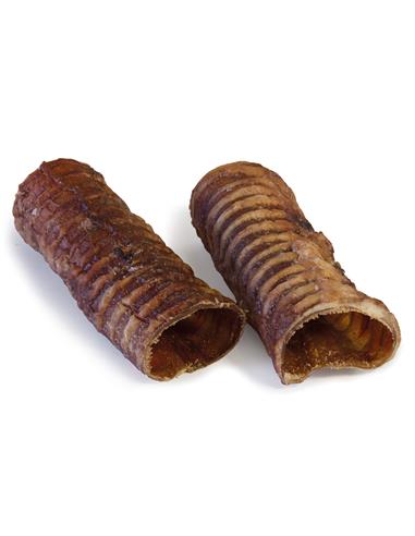 trachee boeuf