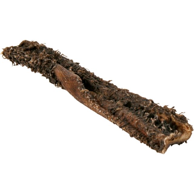 tripes boeuf