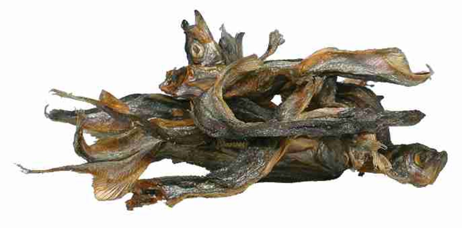 poisson seché 40g
