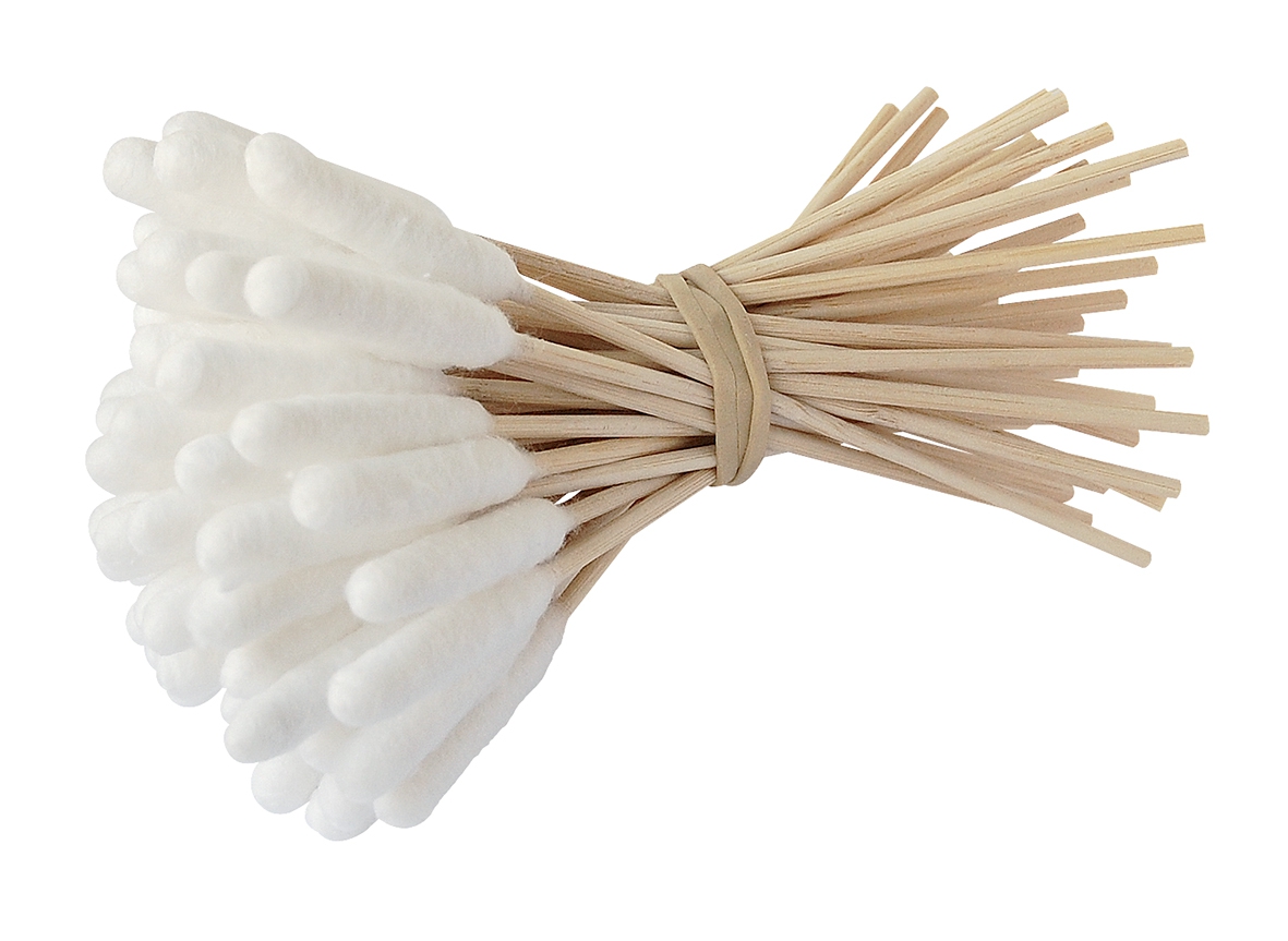 bamboostick coton tige chien