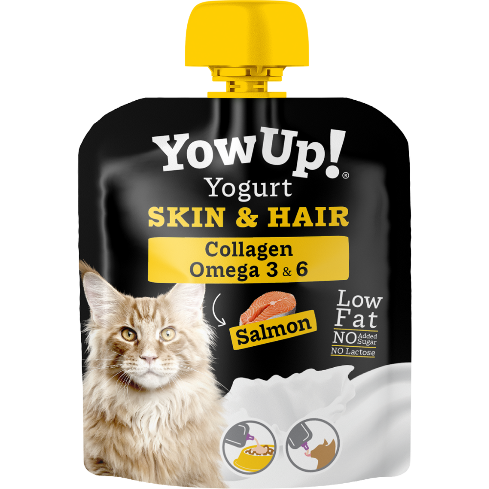 yowup-skin-hair-salmon-yaourt chat
