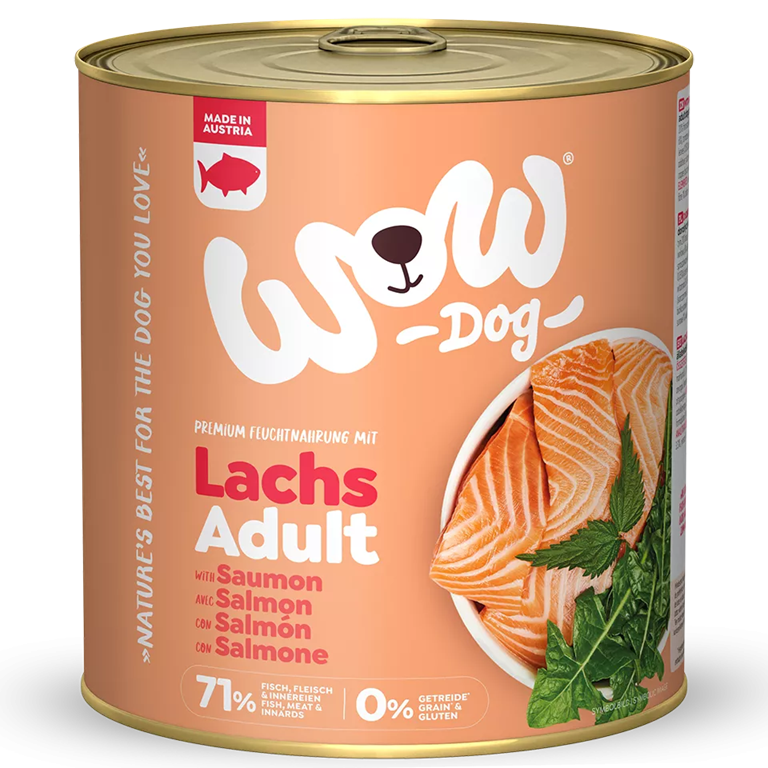 wow chien saumon 800gr