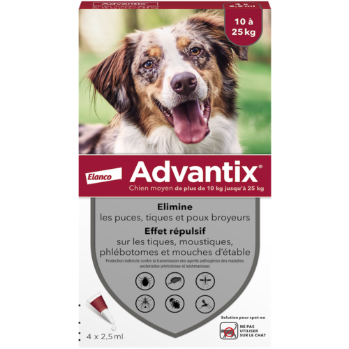 advantix chien moyen